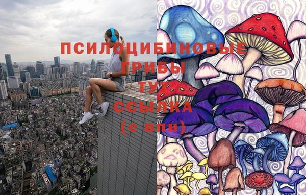 таблы Алексин
