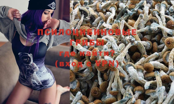 марки nbome Алексеевка
