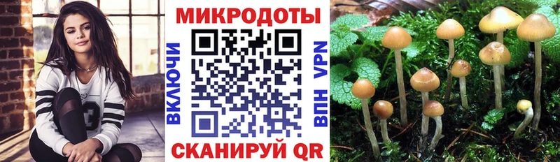 Галлюциногенные грибы прущие грибы  Купить  Кингисепп 