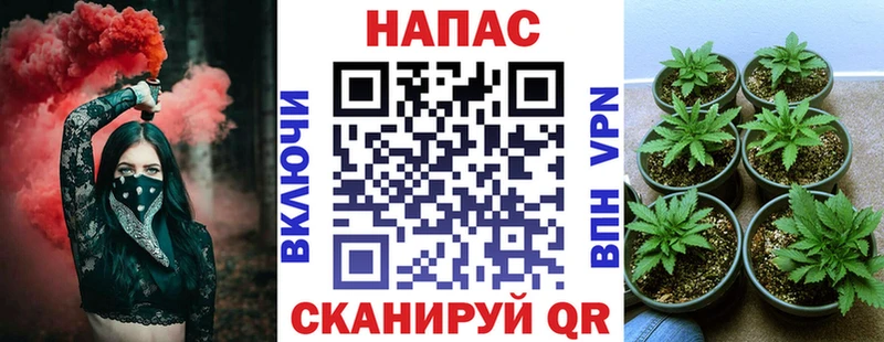 МАРИХУАНА Bruce Banner  Купить где  Кингисепп 